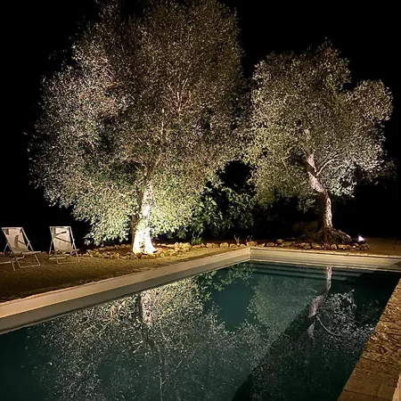빌라 Trullo Tipota With Private Pool 세글리에 메사피카
